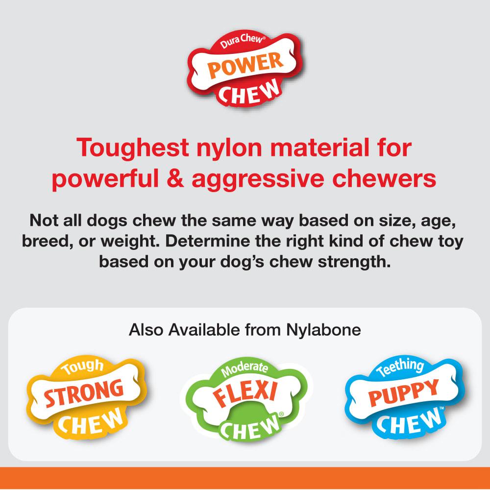 Nylabone Giant Marrow Bone Alternative Beef Flavor Power Chew Toys  USA |  LWIFP-7936