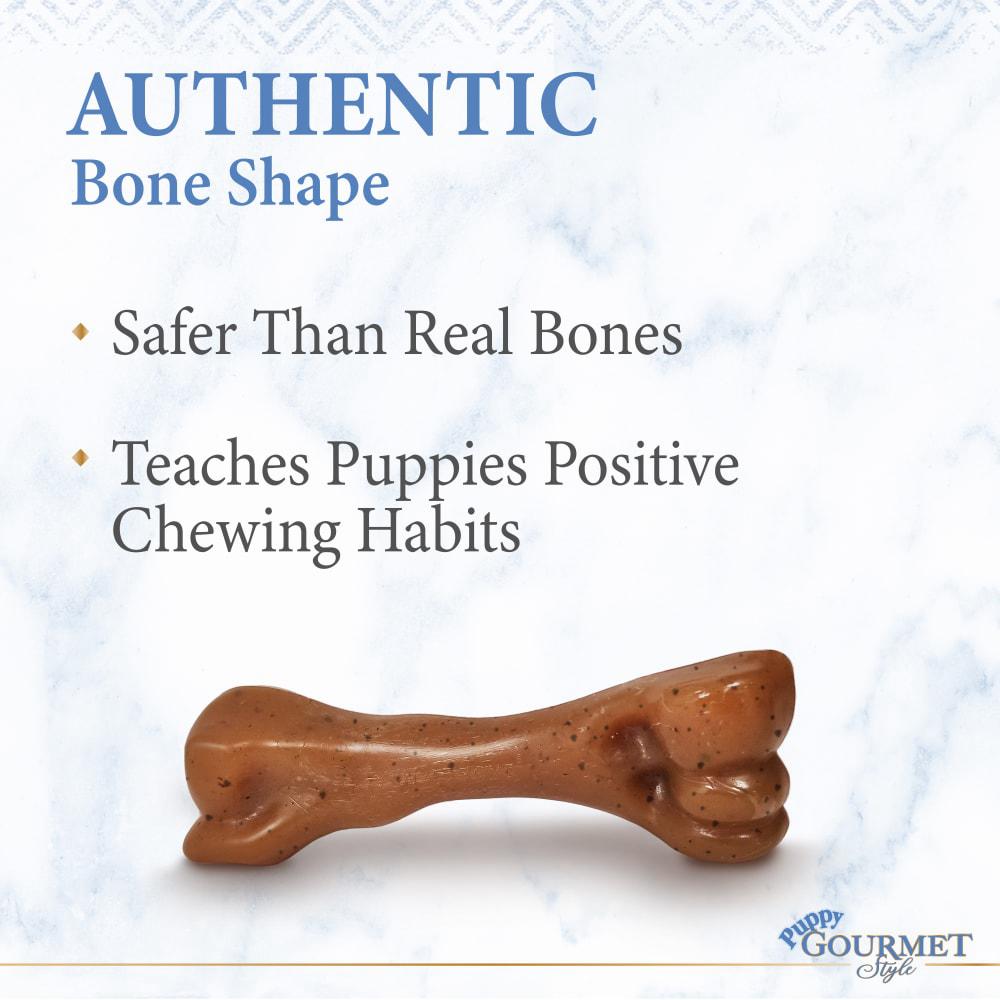 Nylabone Gourmet Style Femur Puppy Puppy Chew Toys  USA |  ECBKL-0483