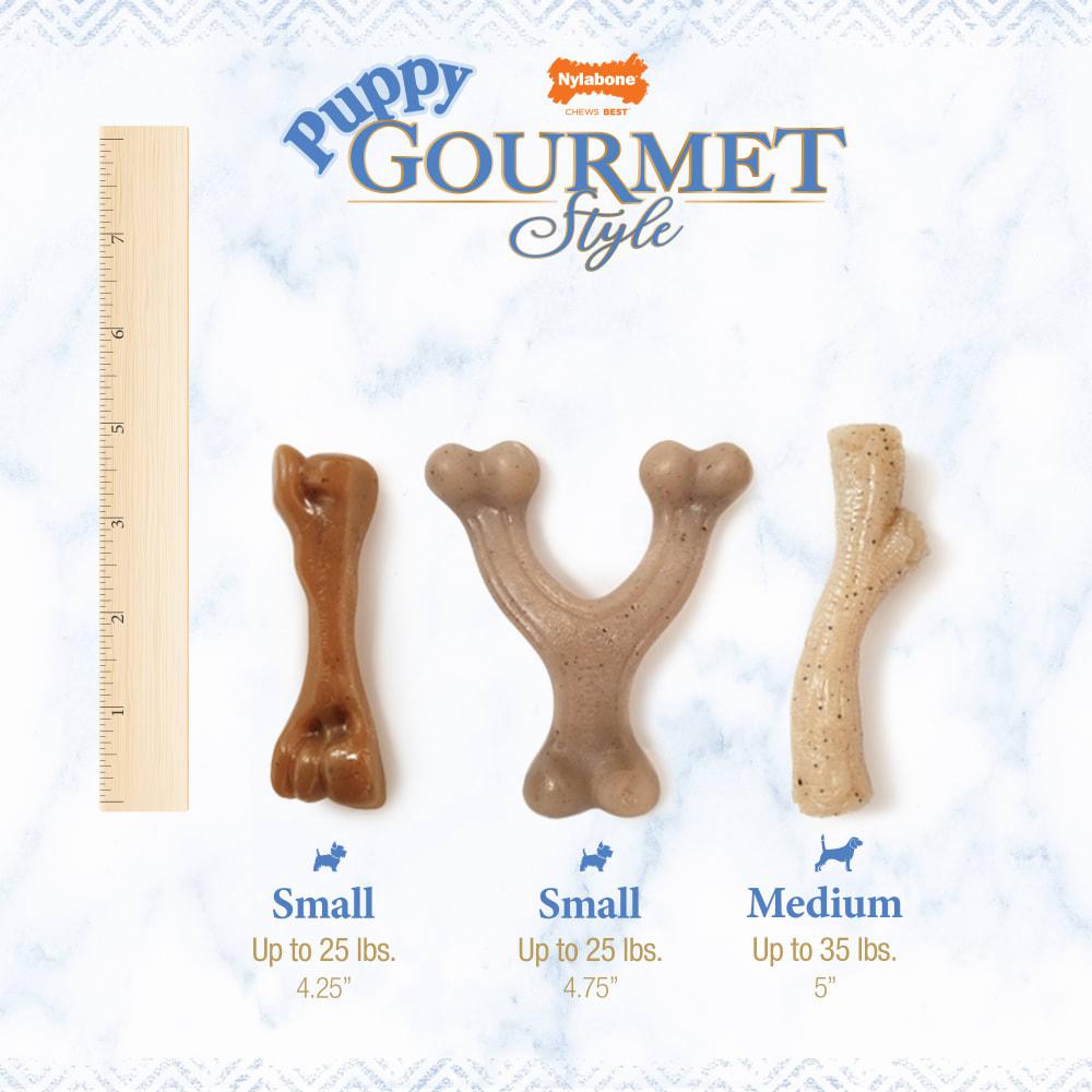 Nylabone Gourmet Style Femur Puppy Puppy Chew Toys  USA |  ECBKL-0483