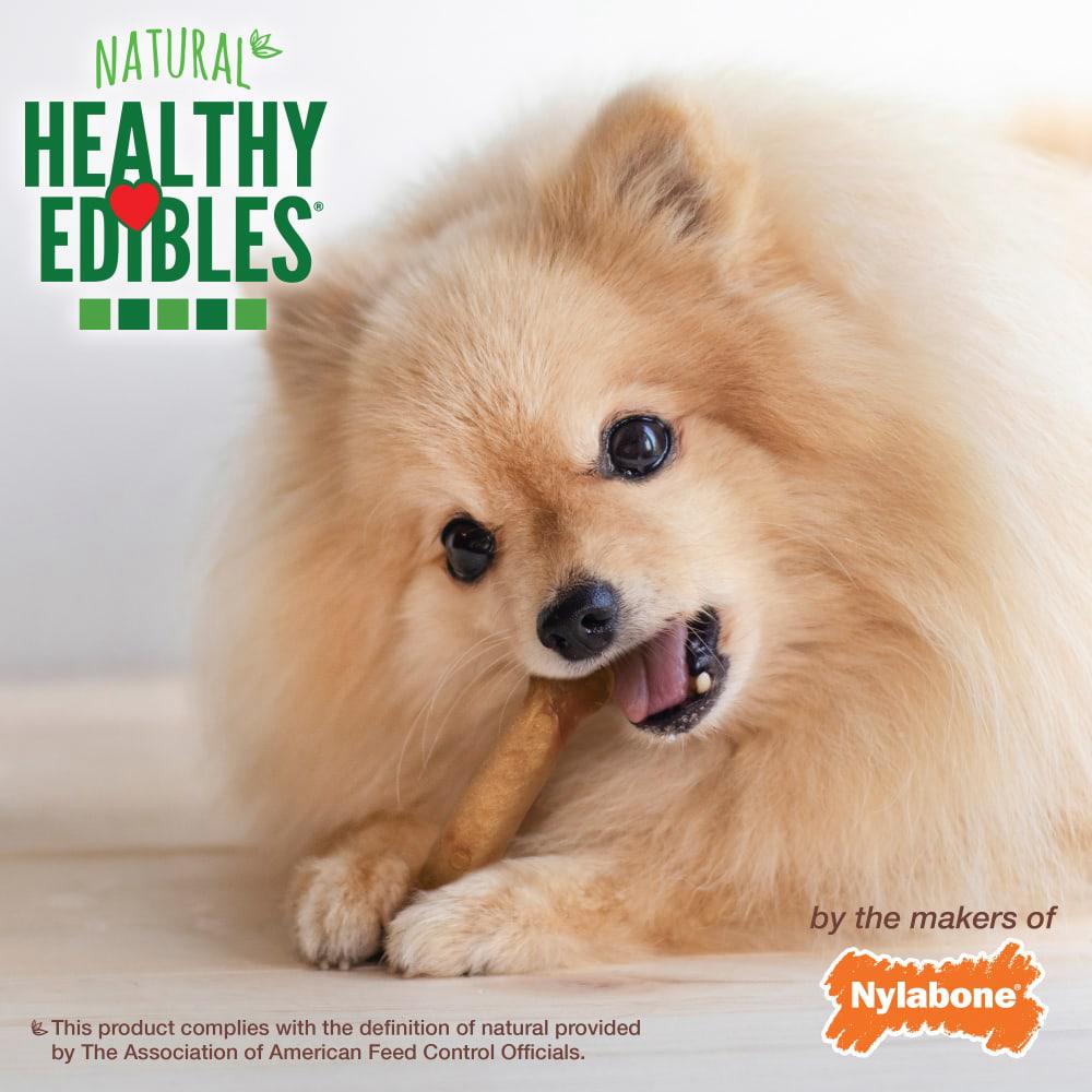 Nylabone Healthy Edibles All-Natural Long Lasting Dog Chew Treats  USA |  GCQDU-4203