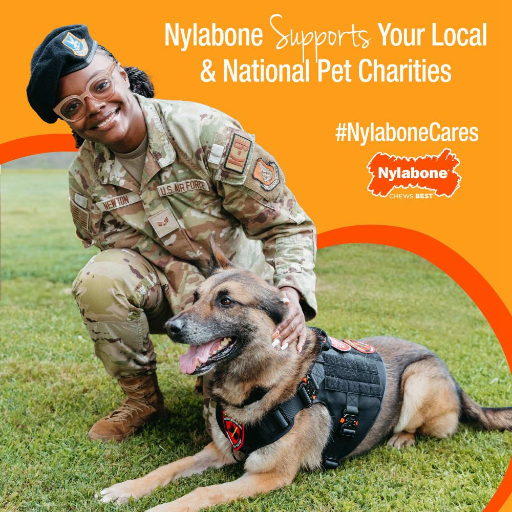 Nylabone Healthy Edibles All-Natural Long Lasting Dog Chew Treats  USA |  GCQDU-4203