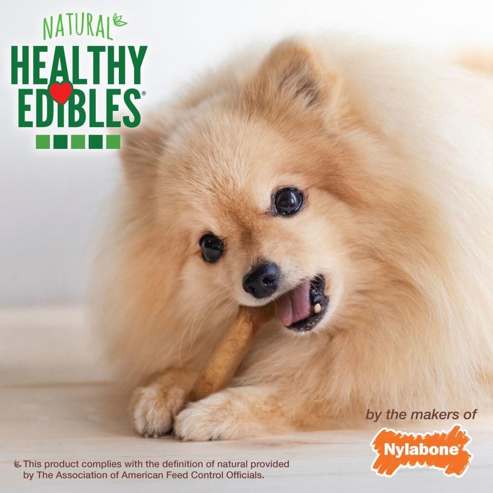 Nylabone Healthy Edibles All-Natural Long Lasting Dog Chew Treats  USA |  UPRBI-4718