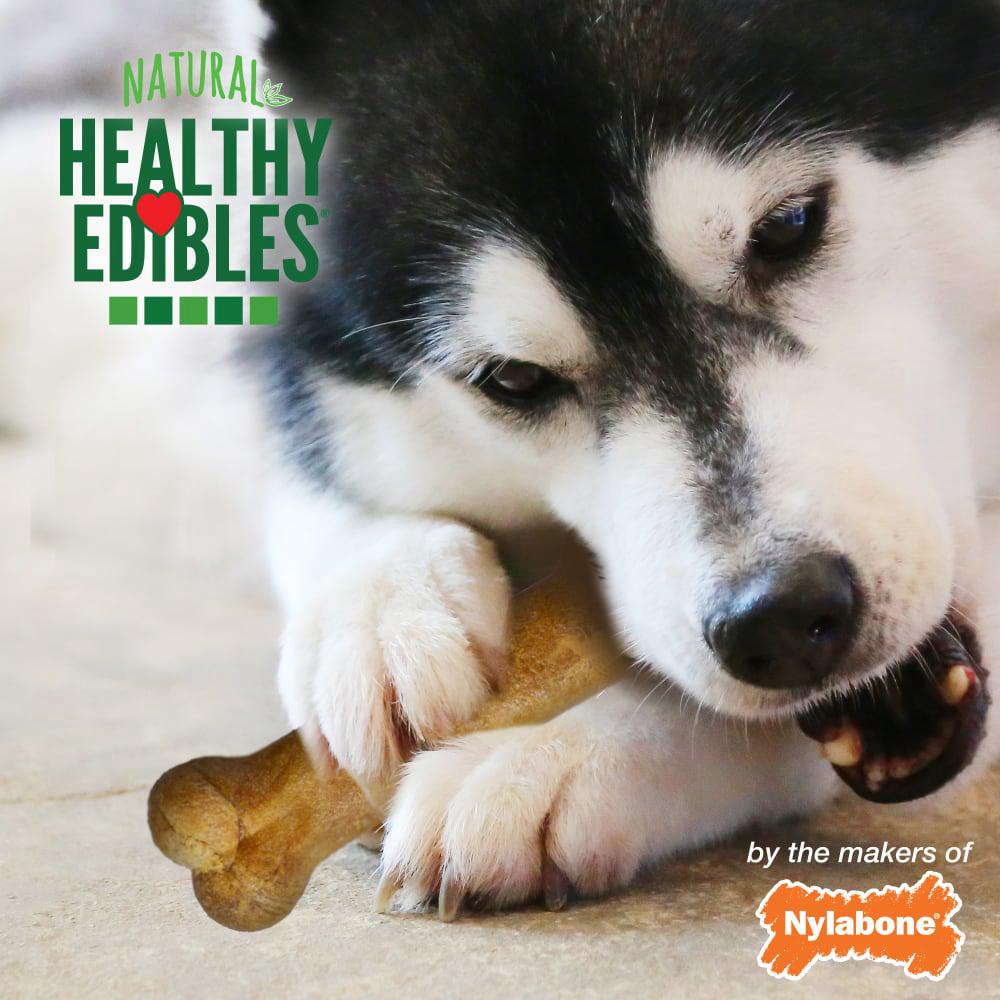 Nylabone Healthy Edibles All-Natural Long Lasting Dog Chew Treats  USA |  EAWZK-8931