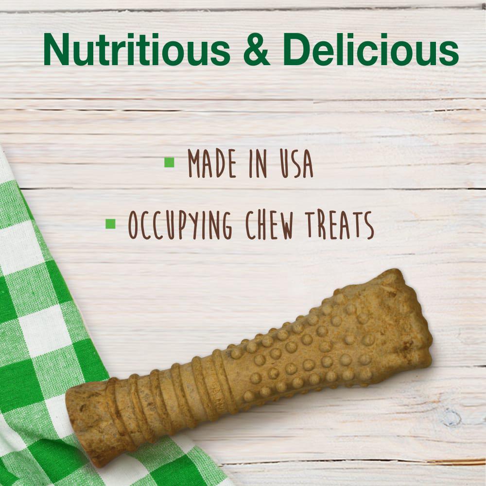 Nylabone Healthy Edibles All-Natural Long Lasting Dog Chew Treats  USA |  VCRSH-3790