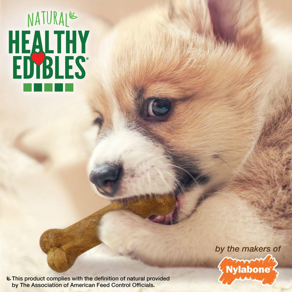 Nylabone Healthy Edibles All-Natural Long Lasting Puppy Dog Chew Treats  USA |  XAEWG-1906