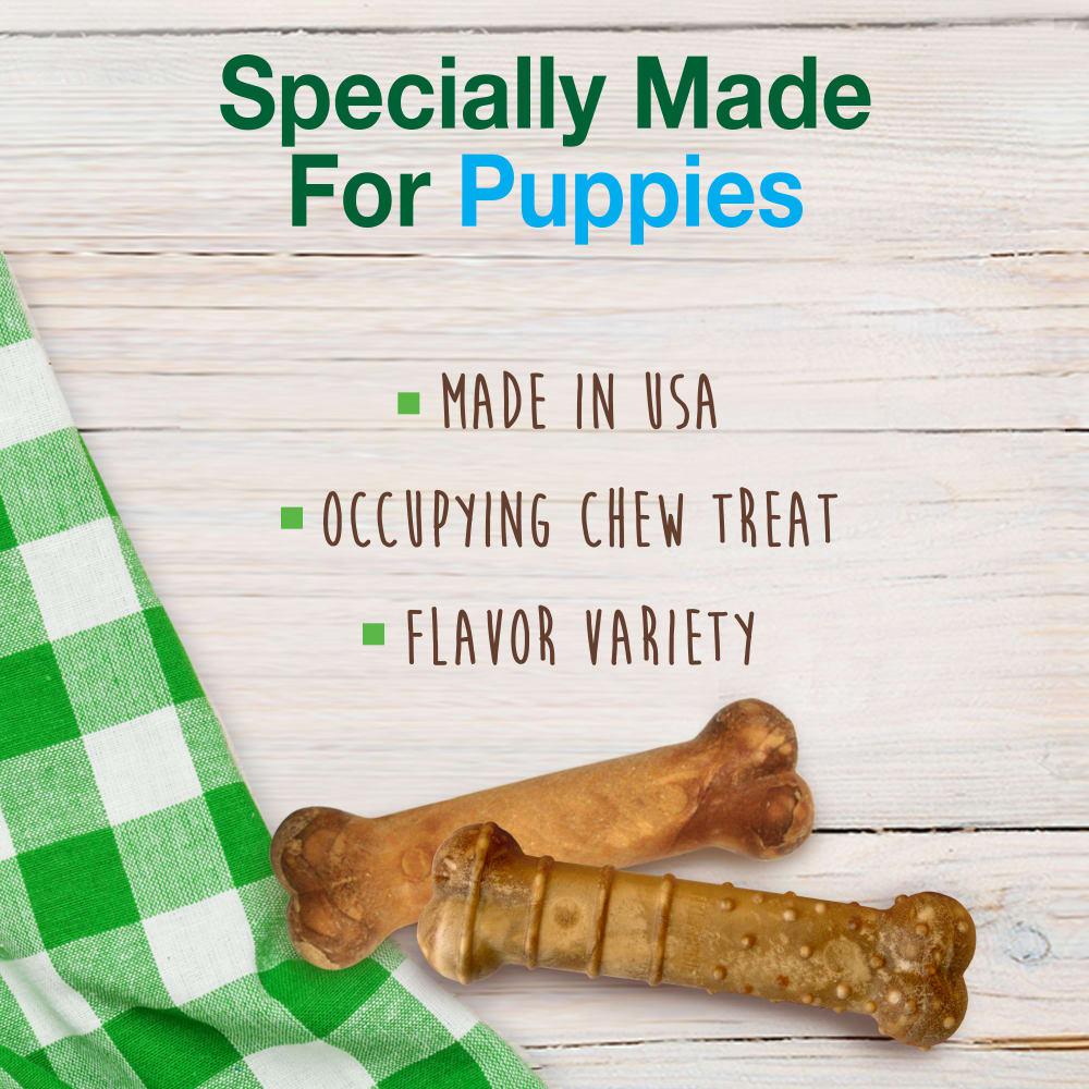 Nylabone Healthy Edibles All-Natural Long Lasting Puppy Dog Chew Treats  USA |  AYFUO-6538