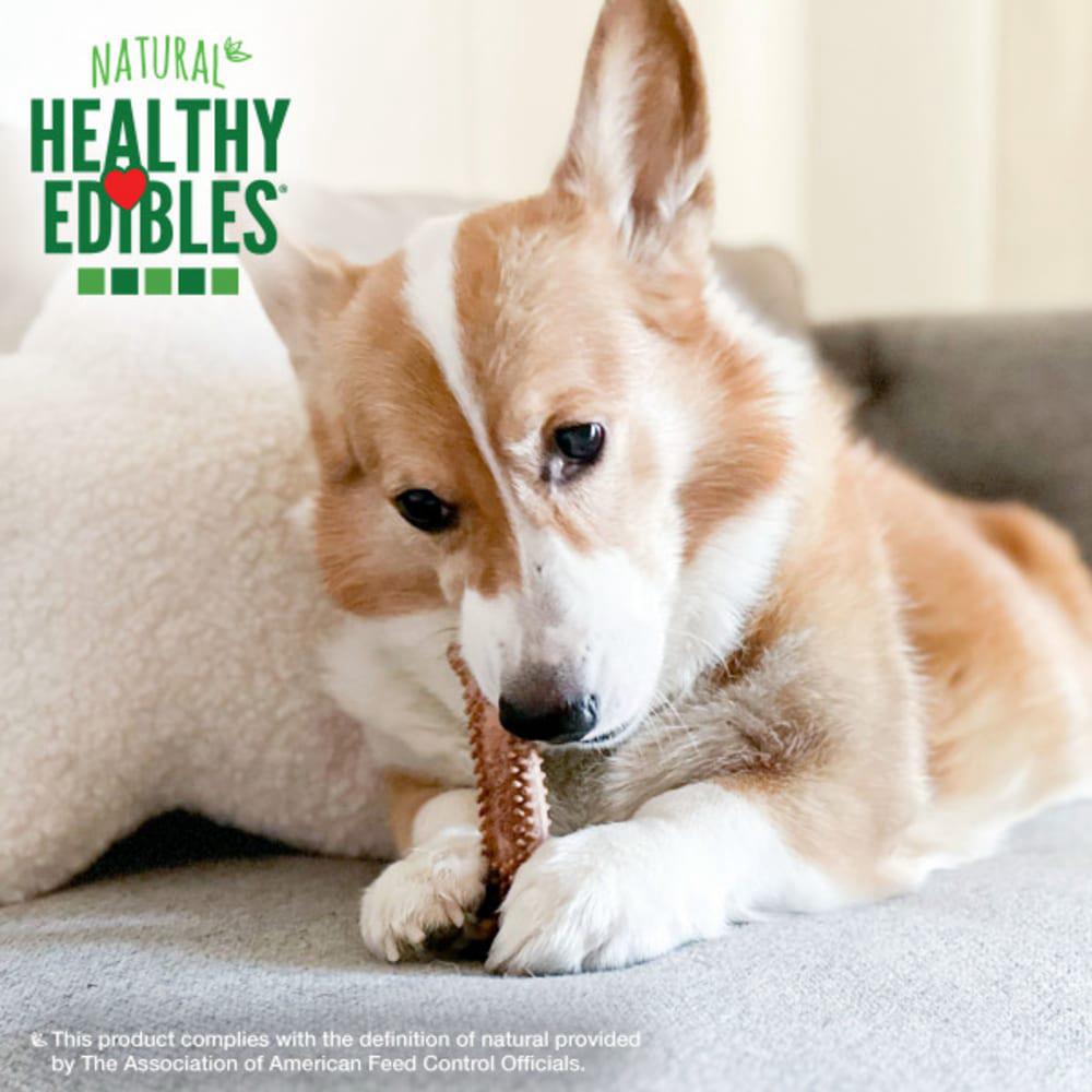 Nylabone Healthy Edibles Meaty Center All-Natural Long Lasting Dog Chew Treats  USA |  DHQBL-2458