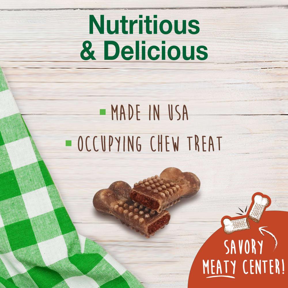 Nylabone Healthy Edibles Meaty Center All-Natural Long Lasting Dog Chew Treats  USA |  DHQBL-2458