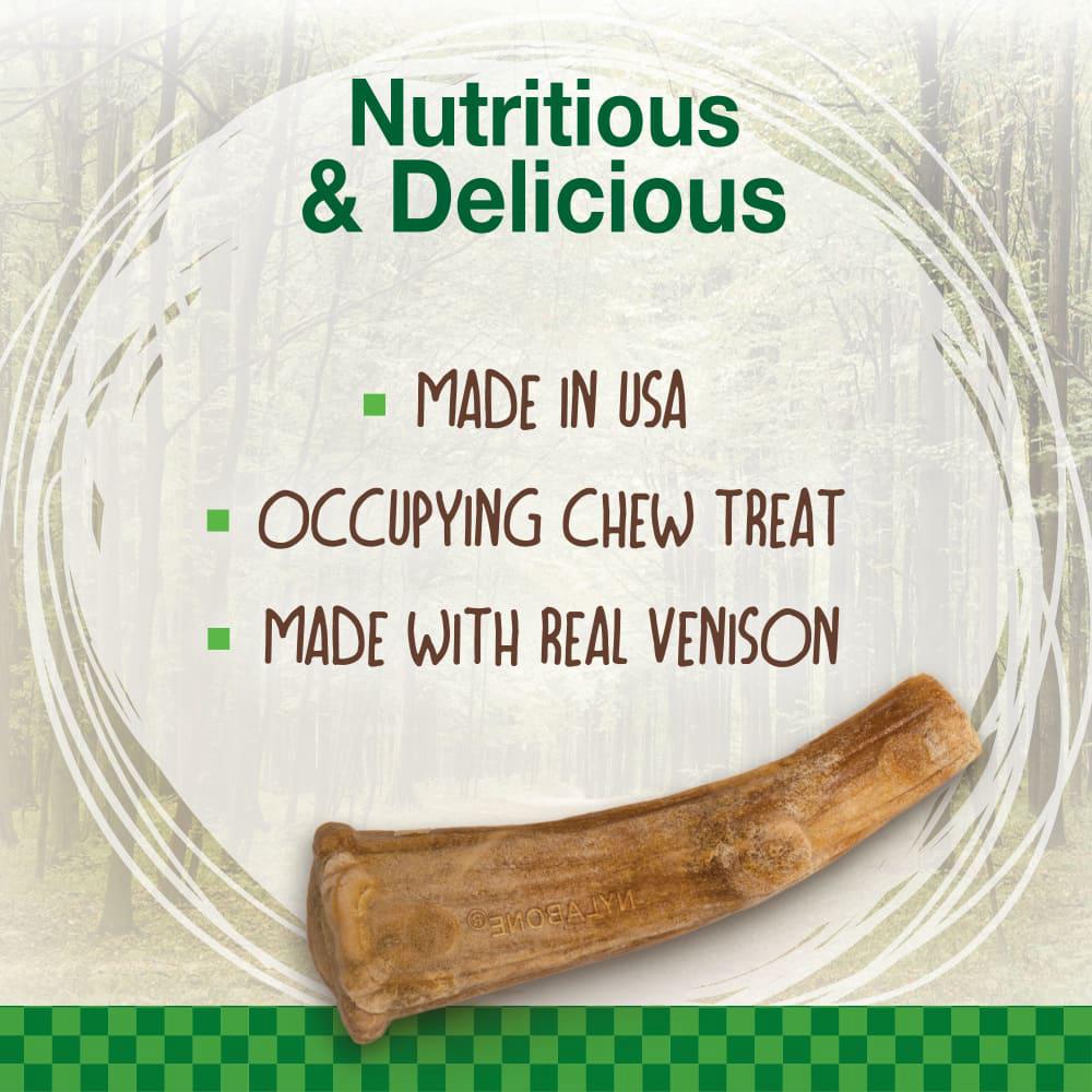 Nylabone Healthy Edibles WILD All-Natural Long Lasting Antler Dog Chew Treats  USA |  KSPGT-3697