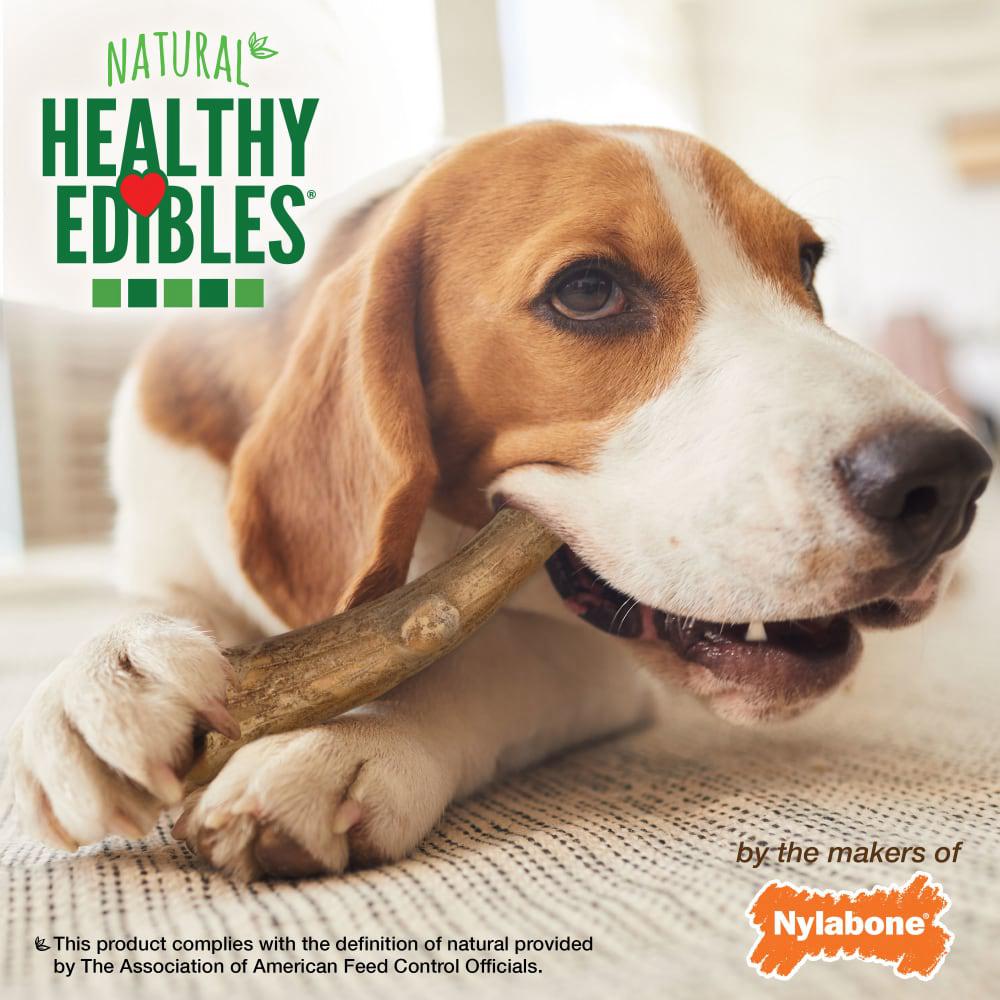 Nylabone Healthy Edibles WILD All-Natural Long Lasting Antler Dog Chew Treats  USA |  KSPGT-3697