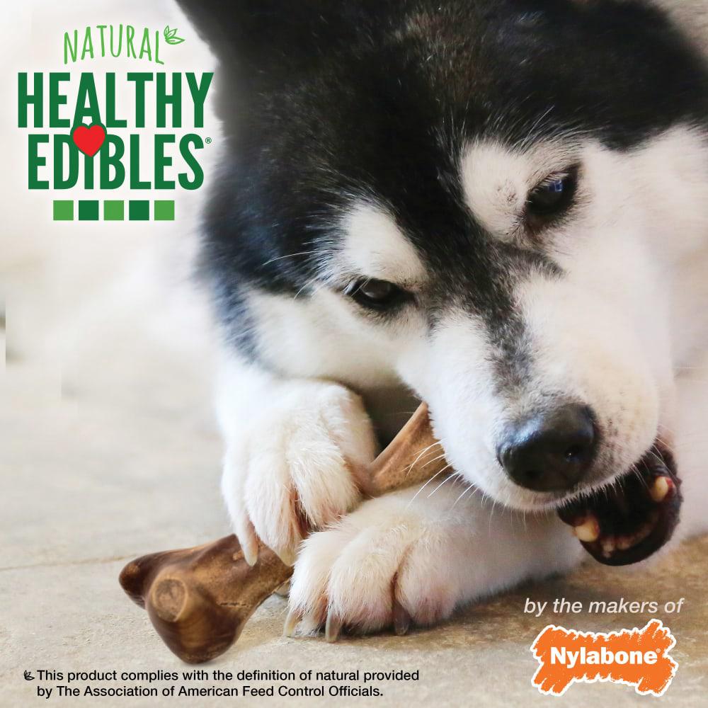 Nylabone Healthy Edibles WILD All-Natural Long Lasting Dog Chew Treats  USA |  ZYTXE-9843