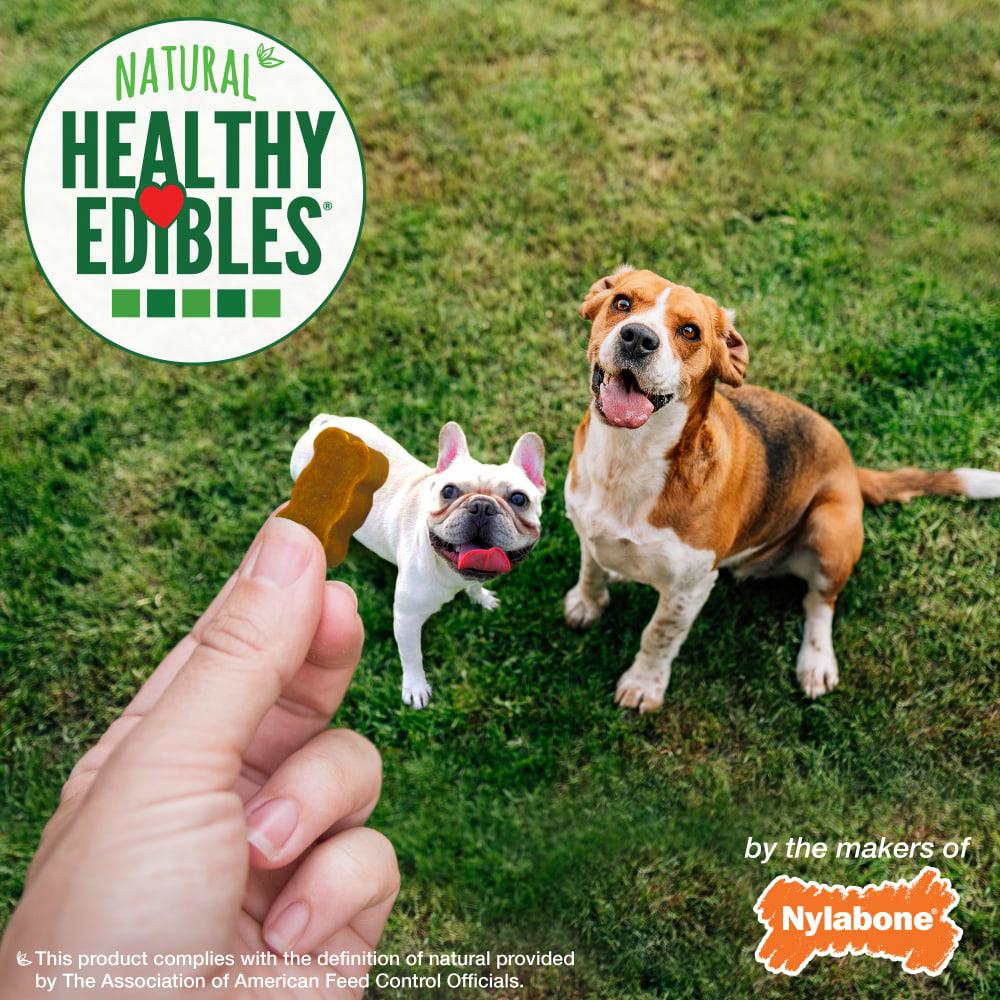 Nylabone Healthy Ediblesy Bites All-Natural Soft Dog Chew Treats  USA |  QGCNX-5074