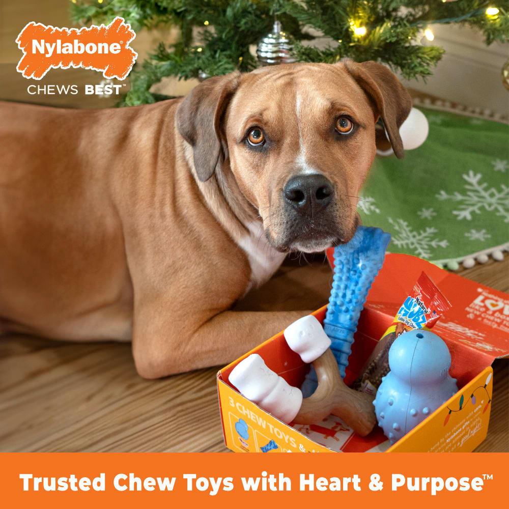 Nylabone Holiday Box - Large & Treat Gift Box Strong Chew Toys For Dogs  USA |  EHUSA-8436