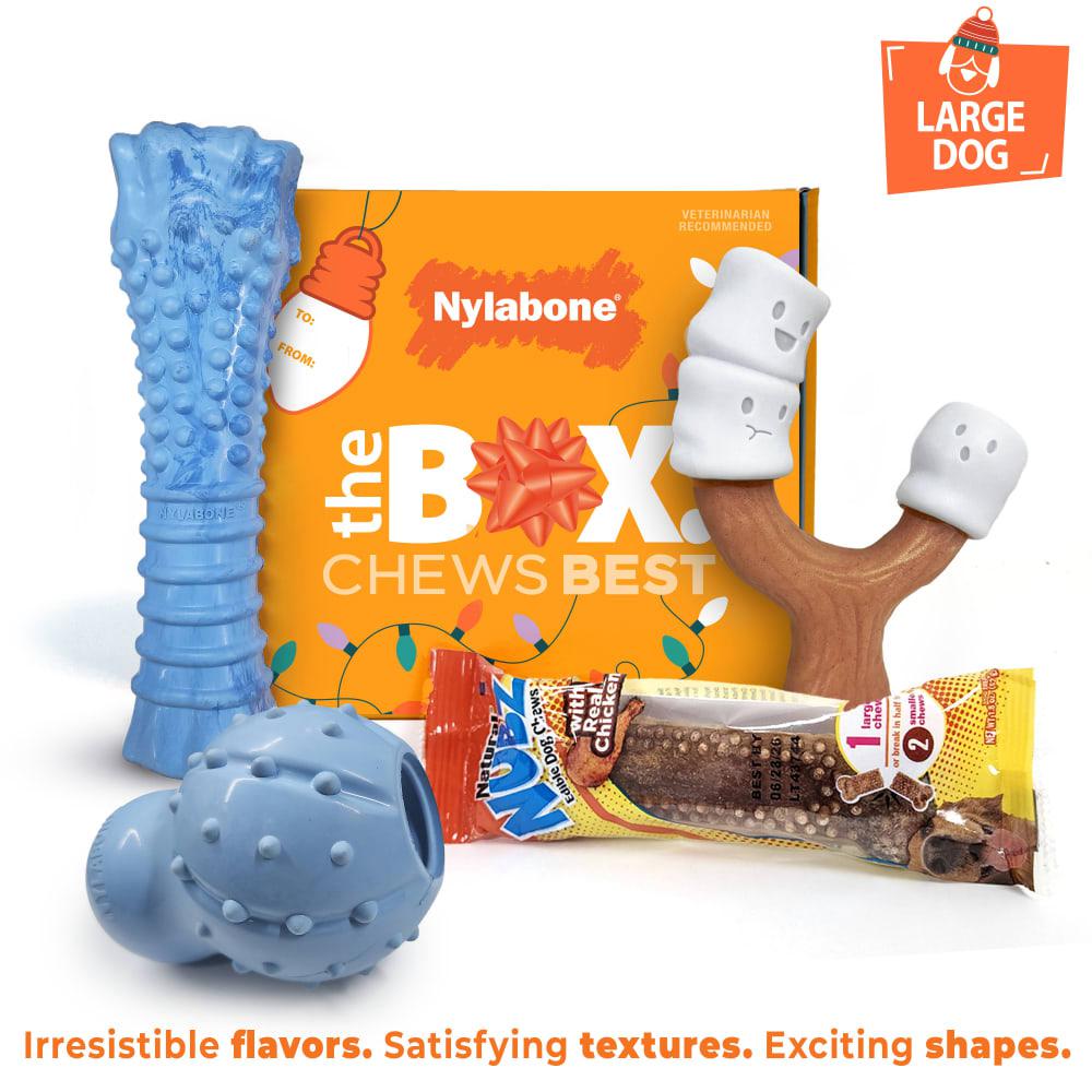 Nylabone Holiday Box - Large & Treat Gift Box Strong Chew Toys For Dogs  USA |  EHUSA-8436