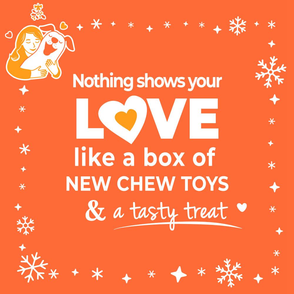 Nylabone Holiday Box - Large & Treat Gift Box Strong Chew Toys For Dogs  USA |  EHUSA-8436