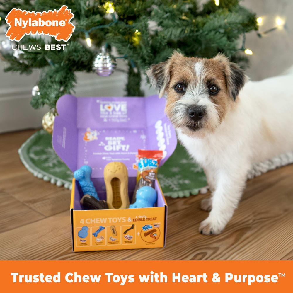 Nylabone Holiday Box - Small & Treat Gift Box Strong Chew Toys For Dogs  USA |  ULVNR-0342