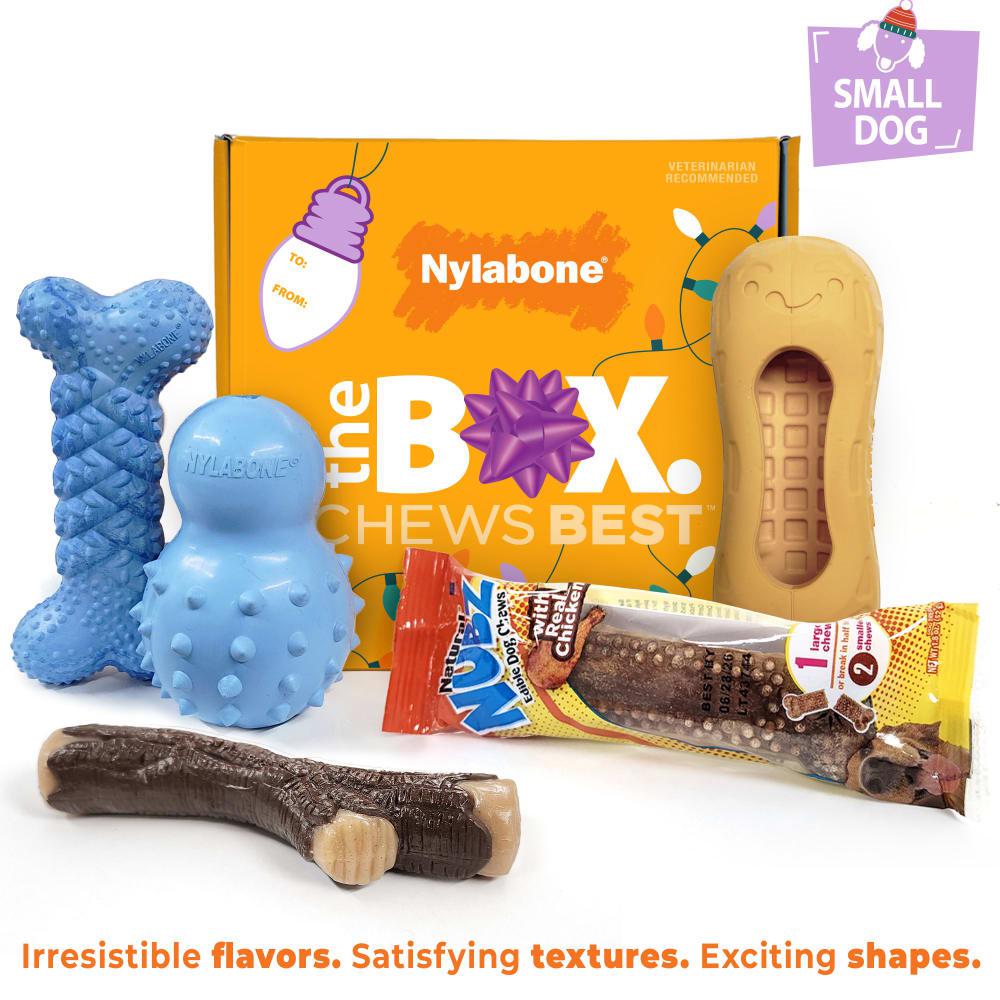 Nylabone Holiday Box - Small & Treat Gift Box Strong Chew Toys For Dogs  USA |  ULVNR-0342