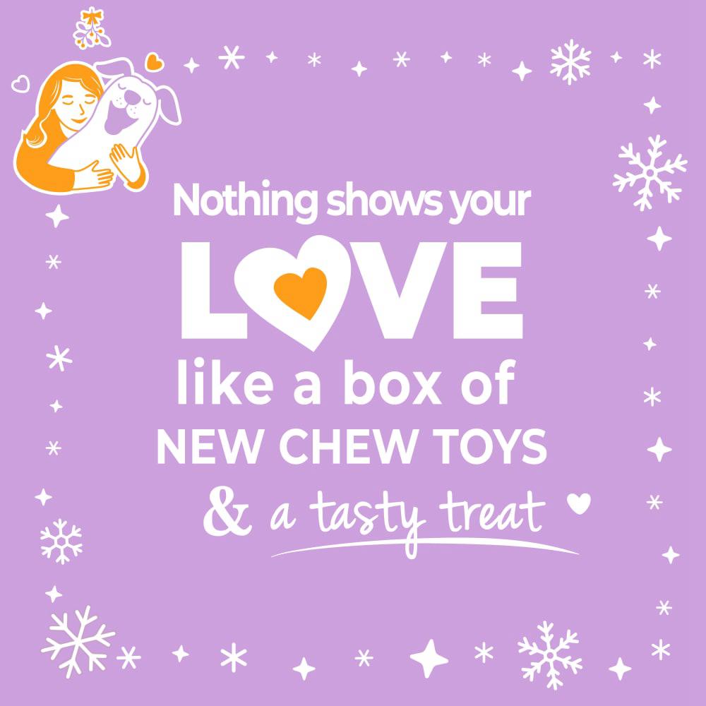 Nylabone Holiday Box - Small & Treat Gift Box Strong Chew Toys For Dogs  USA |  ULVNR-0342