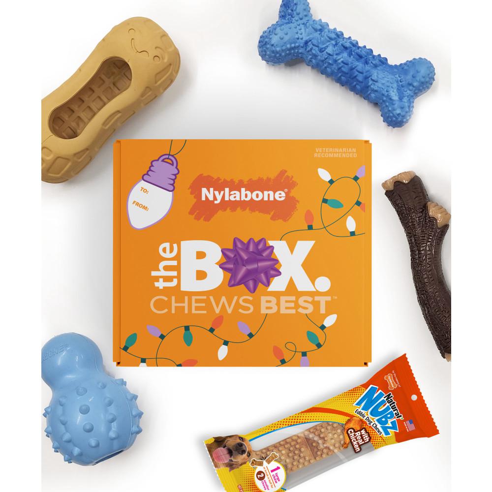 Nylabone Holiday Box - Small & Treat Gift Box Strong Chew Toys For Dogs  USA |  ULVNR-0342