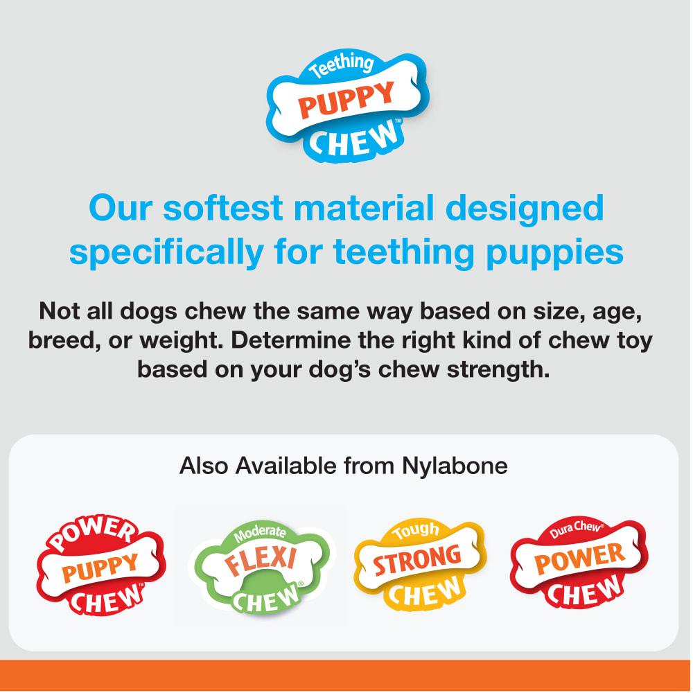 Nylabone Just for Puppies Teething Classic Bone Puppy Chew Toys  USA |  MWSPQ-6531