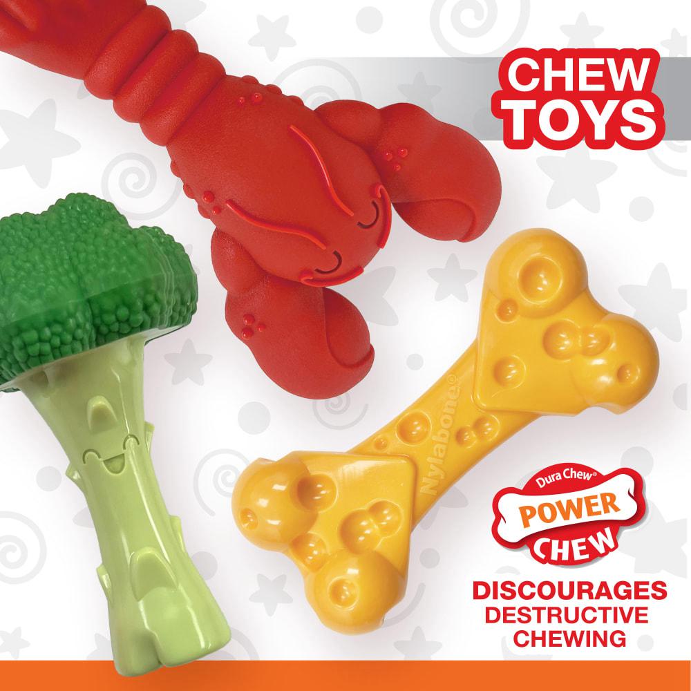 Nylabone Lobster, Cheese, & Broccoli Pack Power Chew Toys  USA |  TKVIU-8753