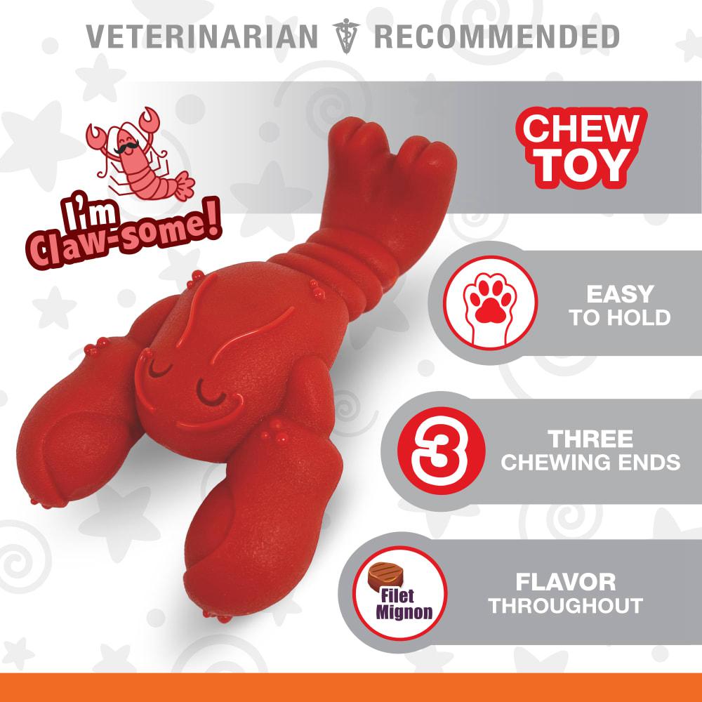 Nylabone Lobster Power Chew Toys  USA |  MTRPJ-9387