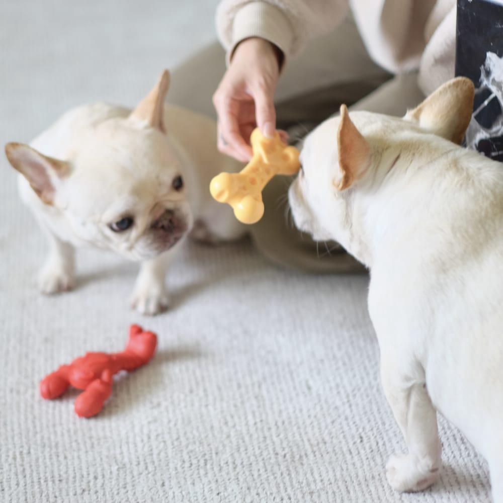 Nylabone Lobster Power Chew Toys  USA |  MTRPJ-9387