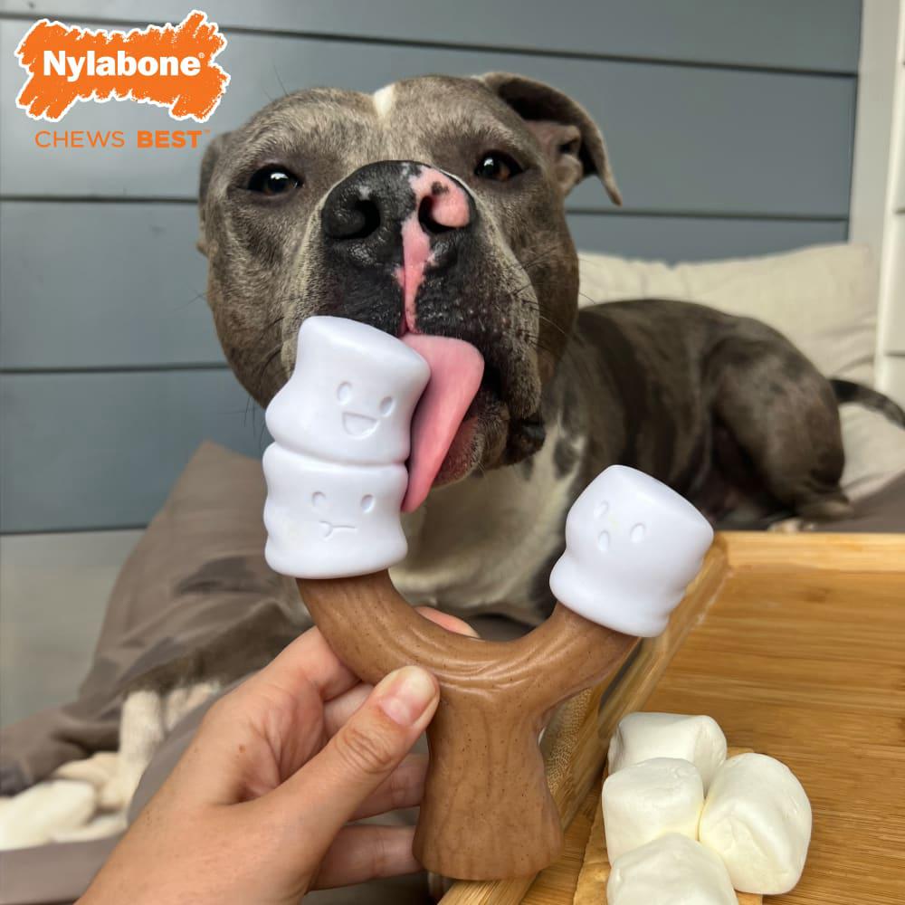 Nylabone Marshmallow Stick Strong Chew Toys For Dogs  USA |  OQAXT-1538