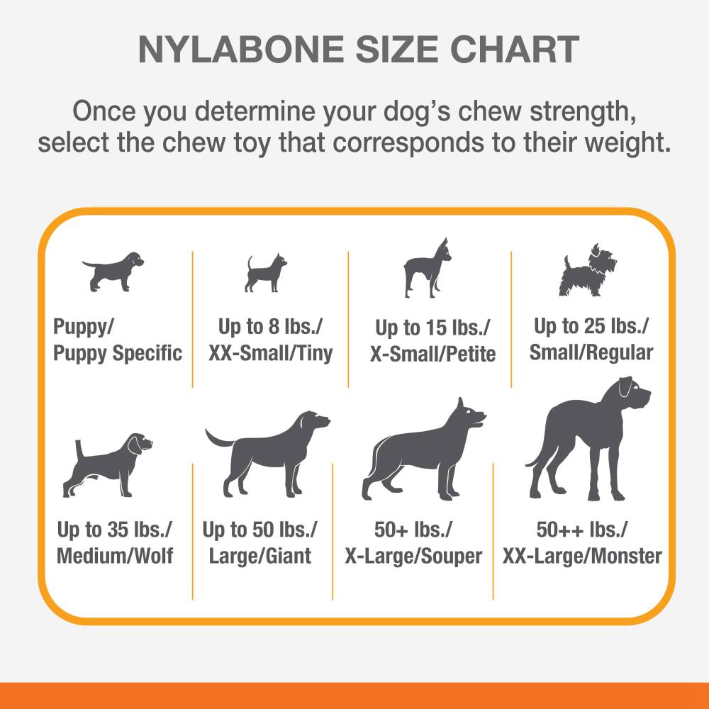 Nylabone Moderate FlexiChew Bone Flexi Chew® Toys  USA |  PEYCM-0216