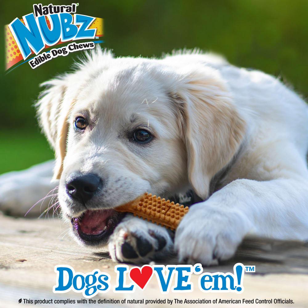 Nylabone Natural Nubz Puppy, Turkey & Sweet Potato Flavor Dog Chew Treats  USA |  VWZDG-8162