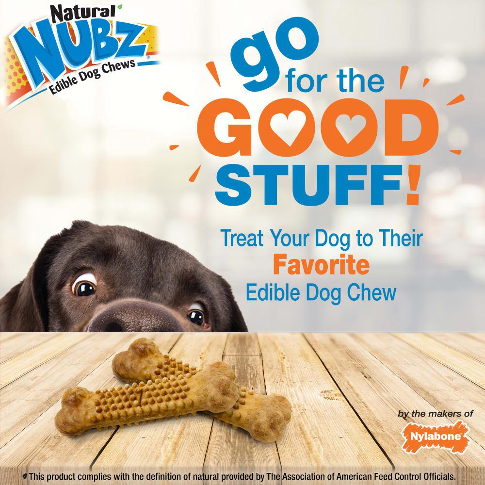 Nylabone Natural Nubz Treats, Allergen-Free Peanut Butter Dog Chew Treats  USA |  DEBYH-1639