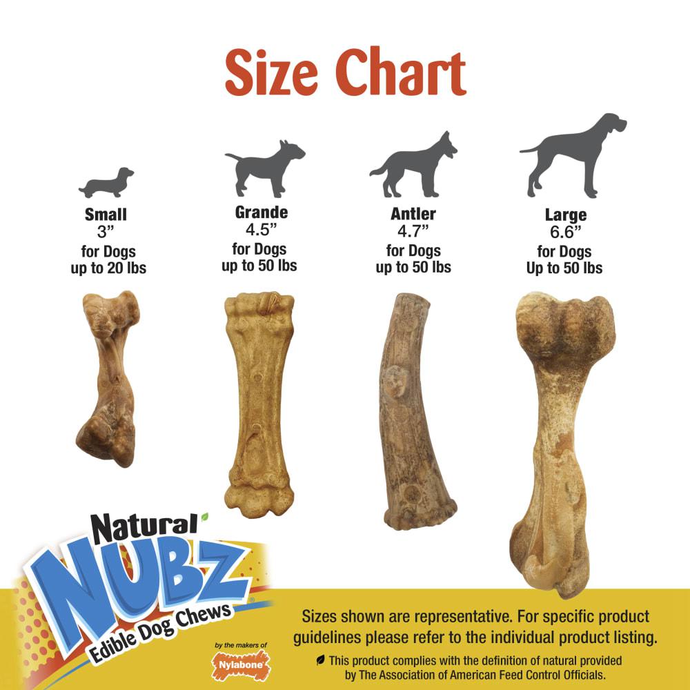 Nylabone Natural Nubz Treats with Bone Broth Dog Chew Treats  USA |  WOIBK-8697