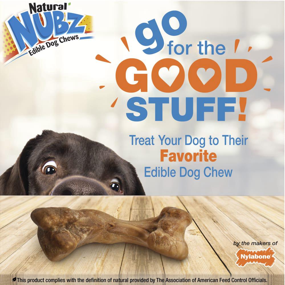 Nylabone Natural Nubz Treats with Bone Broth Dog Chew Treats  USA |  WOIBK-8697