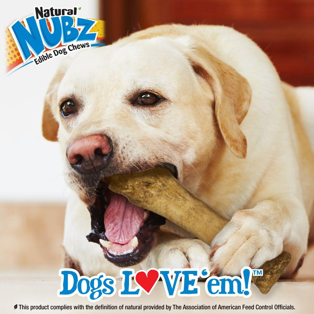 Nylabone Nubz Natural Long Lasting Edible Beef Dog Chew Treats  USA |  WSURD-5193