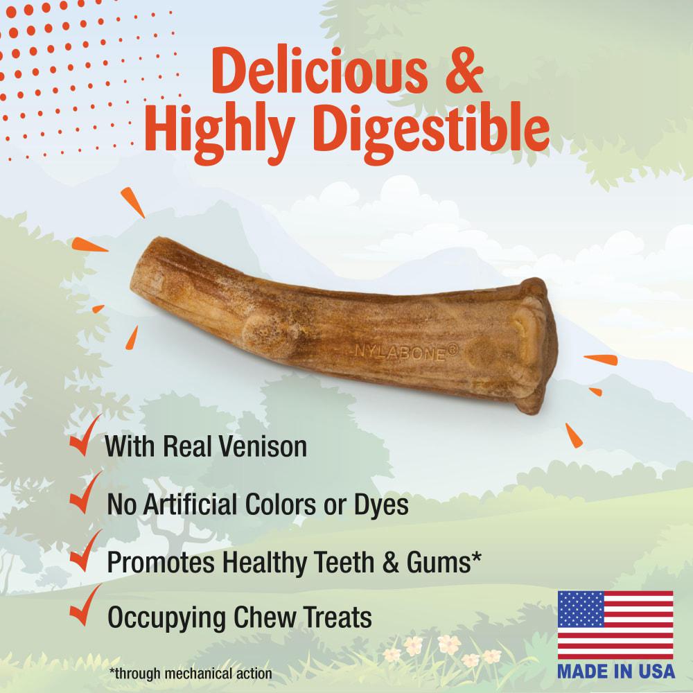 Nylabone Nubz WILD Antler Natural Long Lasting Edible Venison Dog Chew Treats  USA |  JVHUD-4608