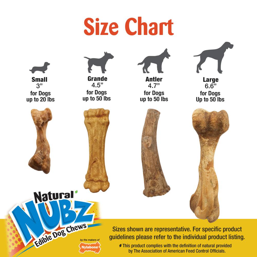 Nylabone Nubz WILD Antler Natural Long Lasting Edible Venison Dog Chew Treats  USA |  JVHUD-4608