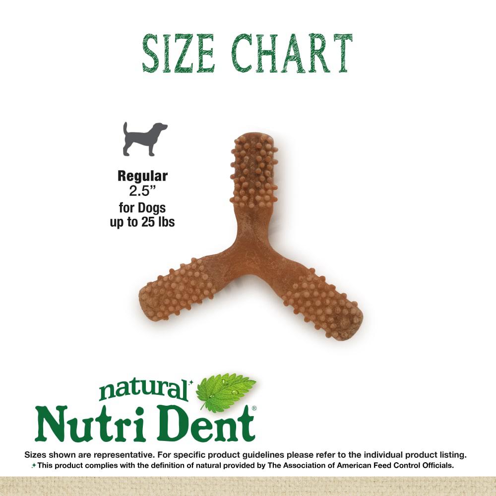 Nylabone Nutri Dent Easy Hold Trios Dental Treats Dog Chew Treats  USA |  IPCMJ-0683