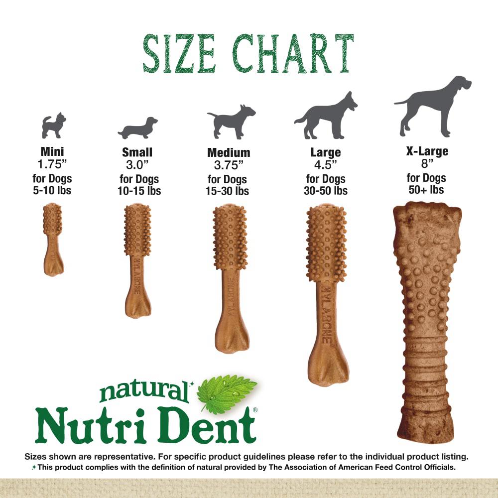 Nylabone Nutri Dent Filet Mignon Dental Dog Chew Treats  USA |  GMRFA-7310