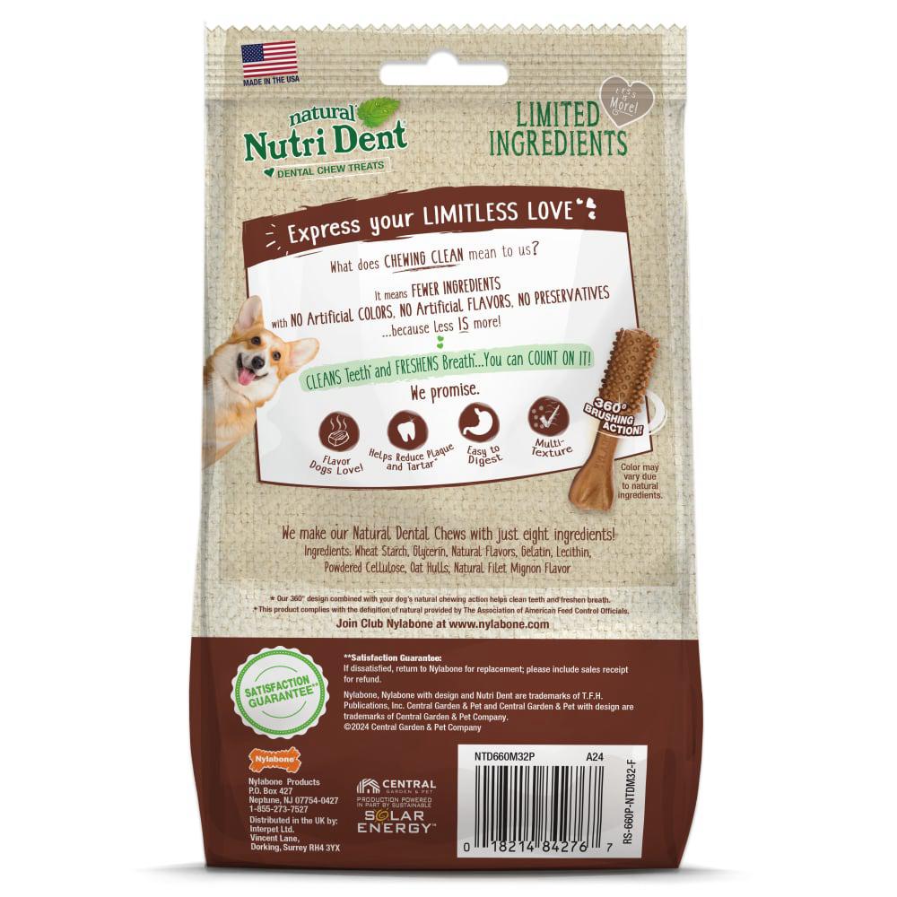 Nylabone Nutri Dent Filet Mignon Dental Dog Chew Treats  USA |  GMRFA-7310