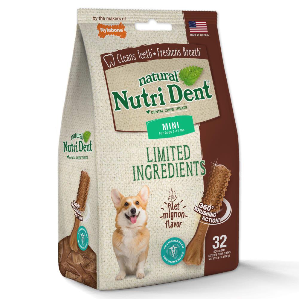 Nylabone Nutri Dent Filet Mignon Dental Dog Chew Treats  USA |  GMRFA-7310