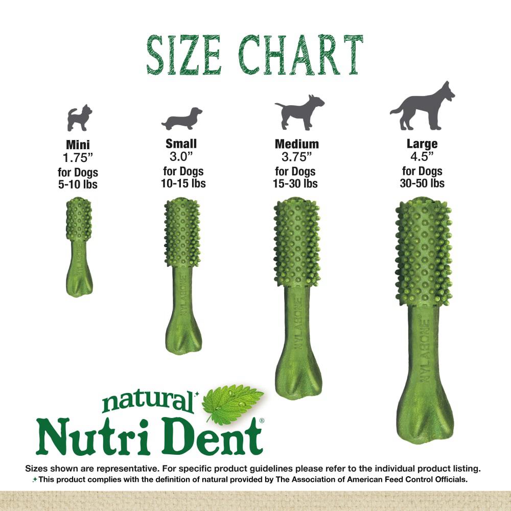 Nylabone Nutri Dent Fresh Breath Flavored Dental Dog Chew Treats  USA |  OXNPV-0745