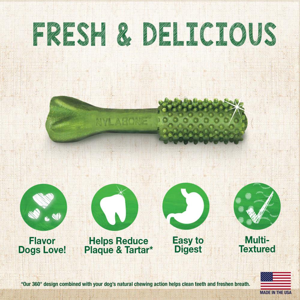 Nylabone Nutri Dent SIMPLE Fresh Breath Flavored Natural Dog Chew Treats  USA |  MDBLT-8472