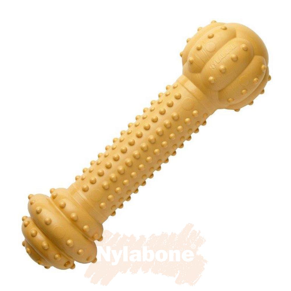 Nylabone Peanut Butter Barbell – Large Extreme Chews Toys  USA |  NCRKJ-0813