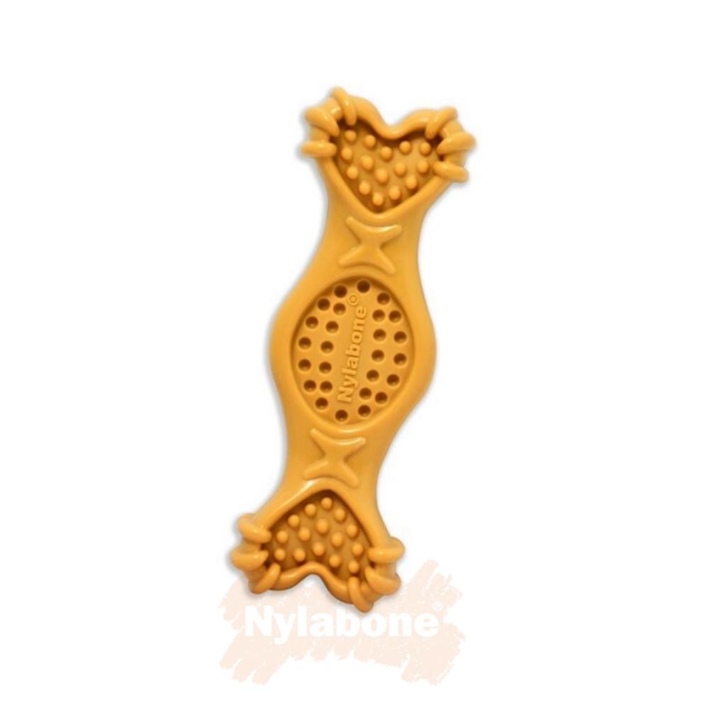 Nylabone Peanut Butter Fill It – Medium Extreme Chews Toys  USA |  RTWQK-5940