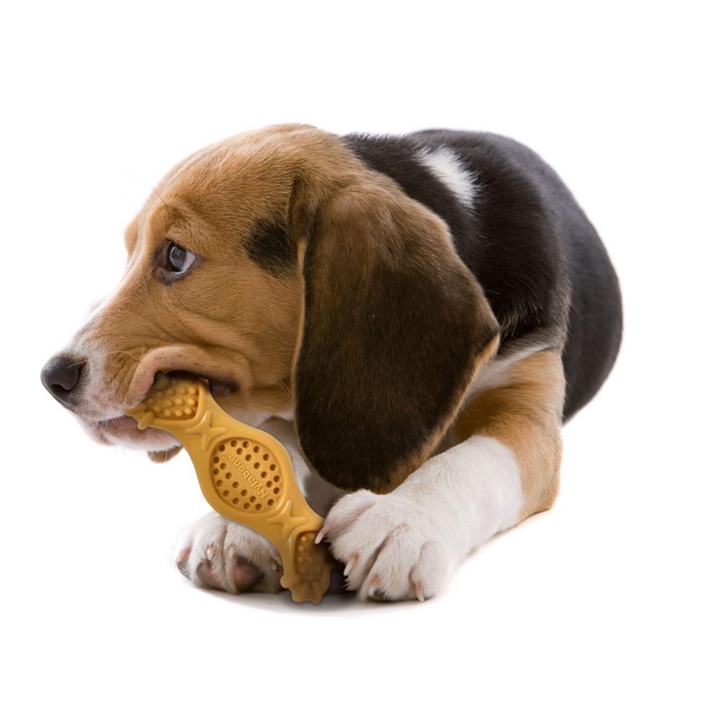 Nylabone Peanut Butter Fill It – Medium Extreme Chews Toys  USA |  RTWQK-5940