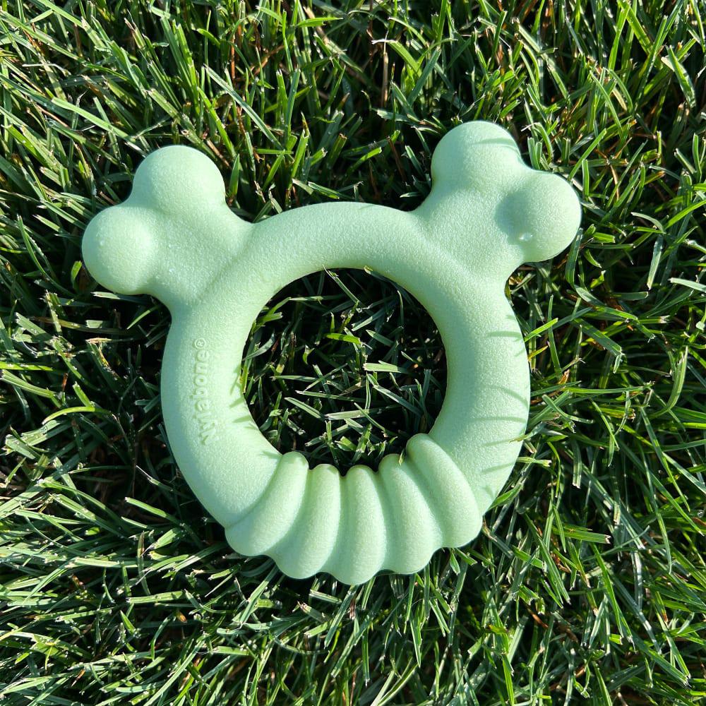 Nylabone Sensory Material Teething Ring Puppy Chew Toys  USA |  FNGPQ-1834