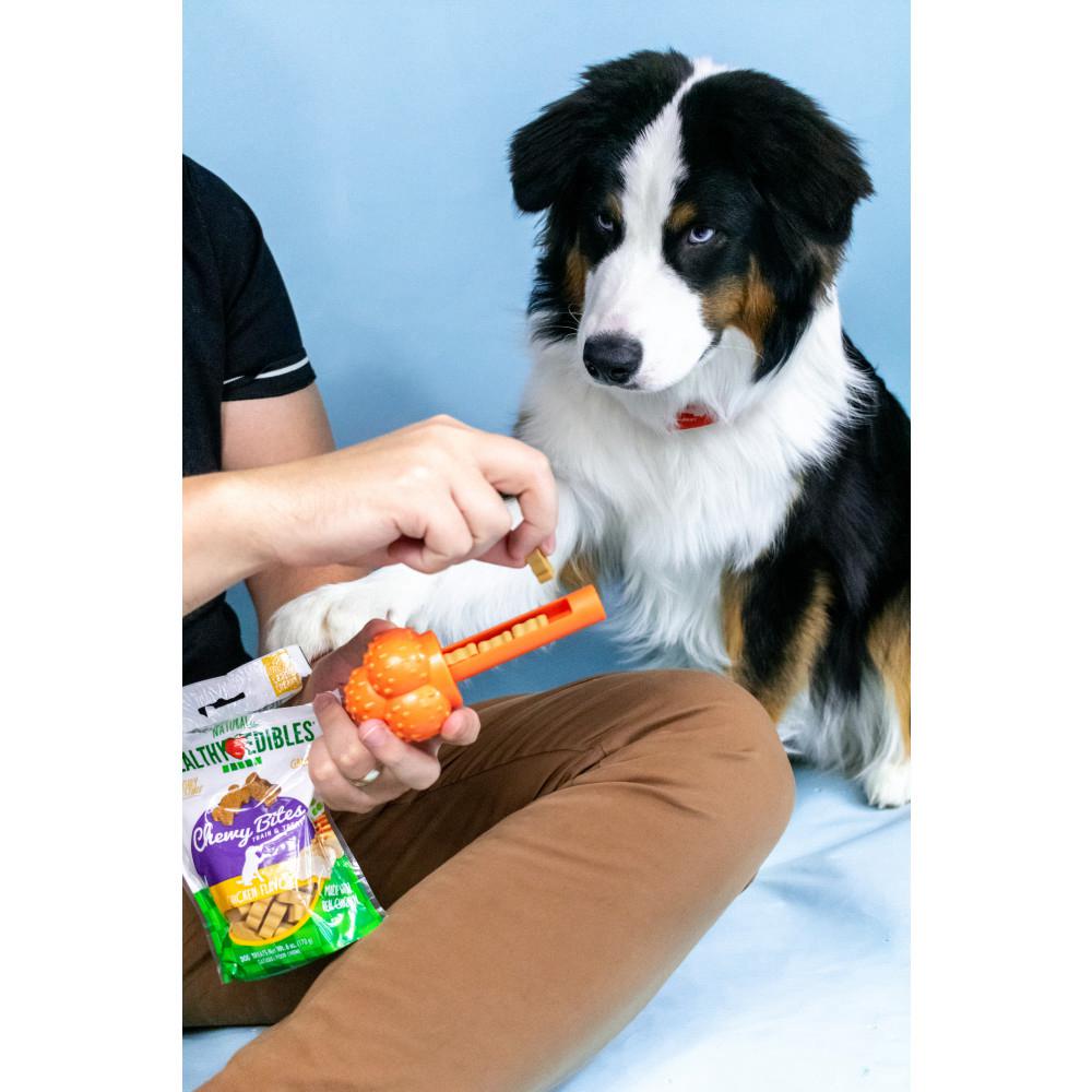 Nylabone Sneaky Snacker Treat Dog Treat Toys  USA |  ILZFQ-5216