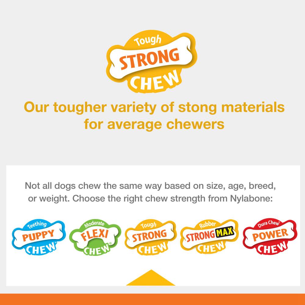 Nylabone Sneaky Snacker Treat Strong Chew Toys For Dogs  USA |  OYREF-9468