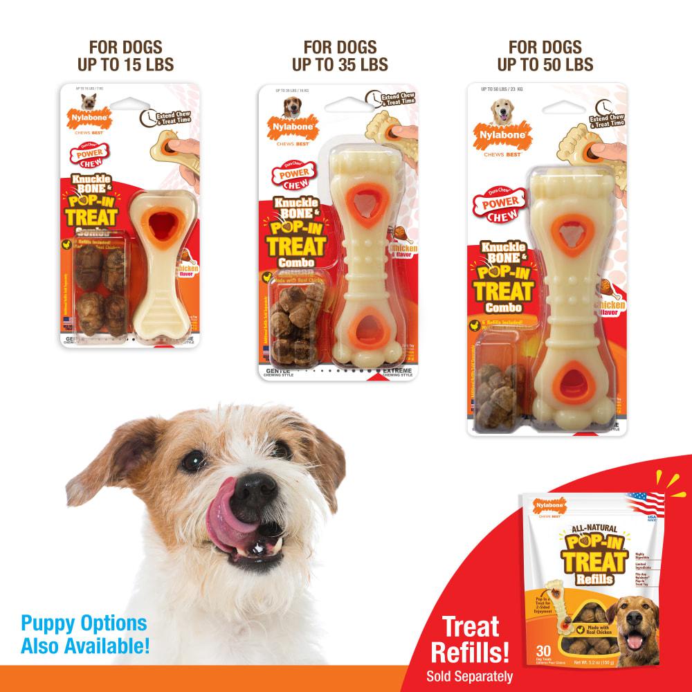 Nylabone Souper Bone & Pop-In Treat Combo Power Chew Toys  USA |  JOXWI-4693