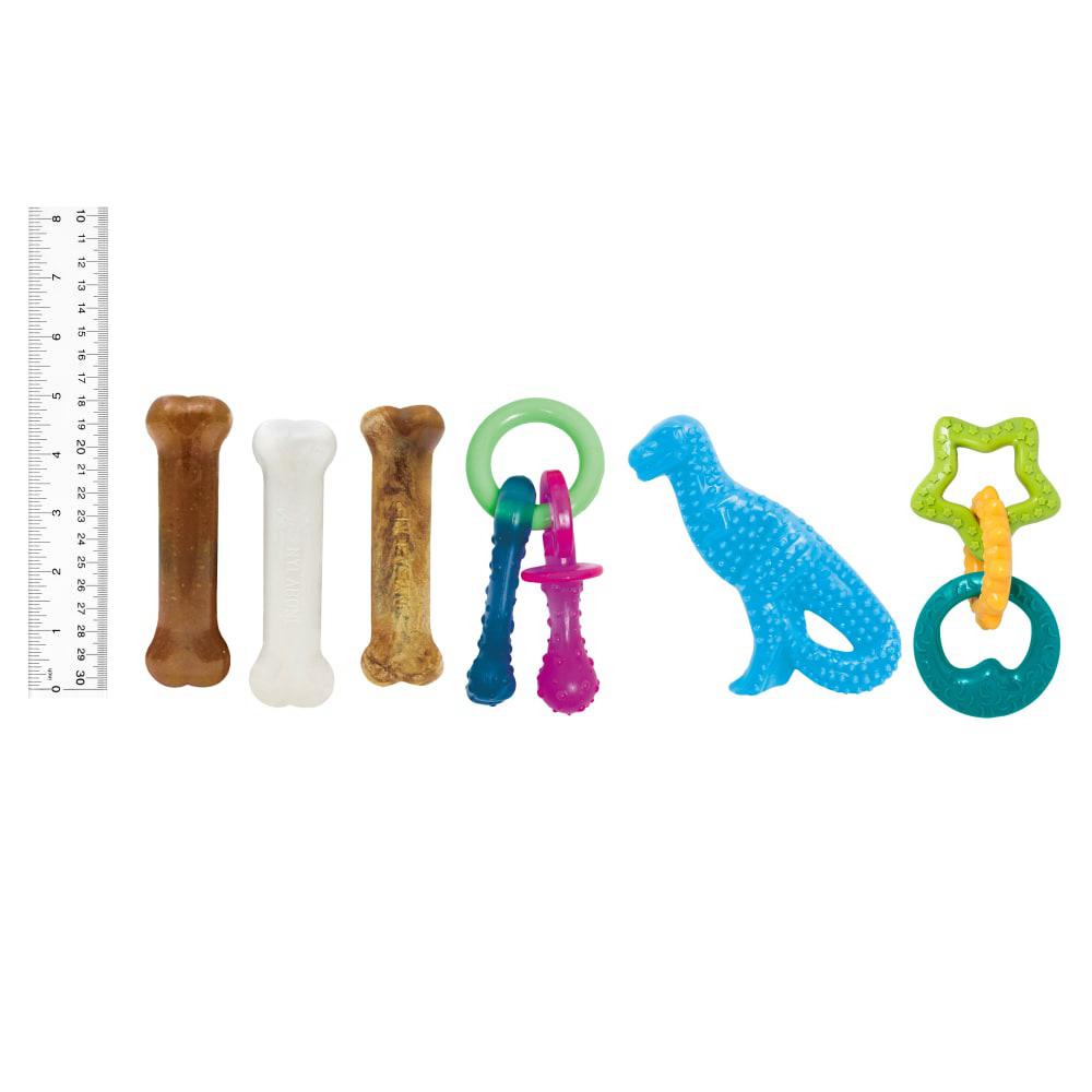 Nylabone Starter Pack with, Teething Kit and Treat Puppy Chew Toys  USA |  OHMNP-9513